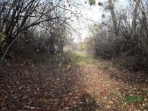 Działka Katowice, ul. Szopienicka. Zdjęcie 4