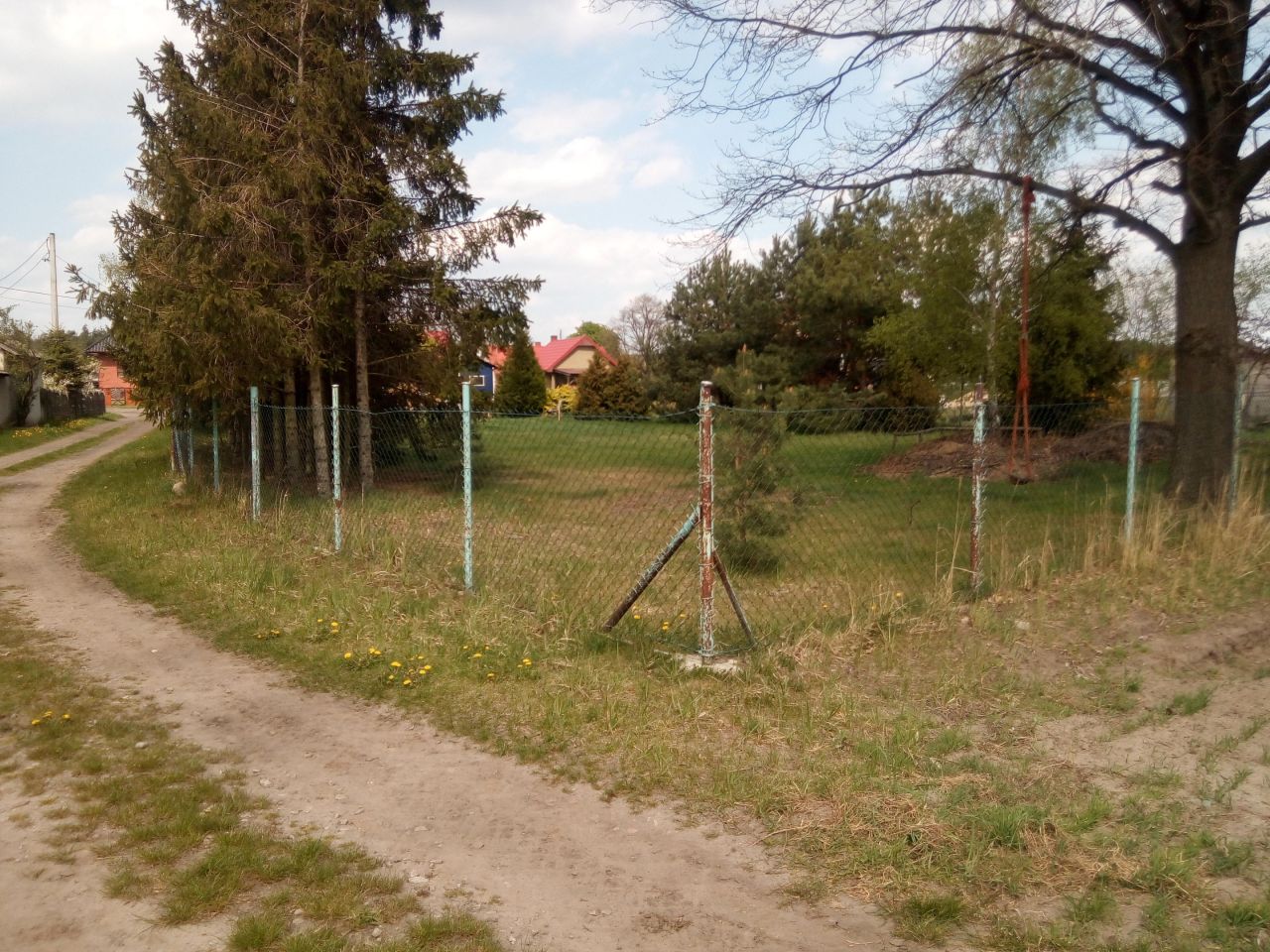 Zdjęcie 3