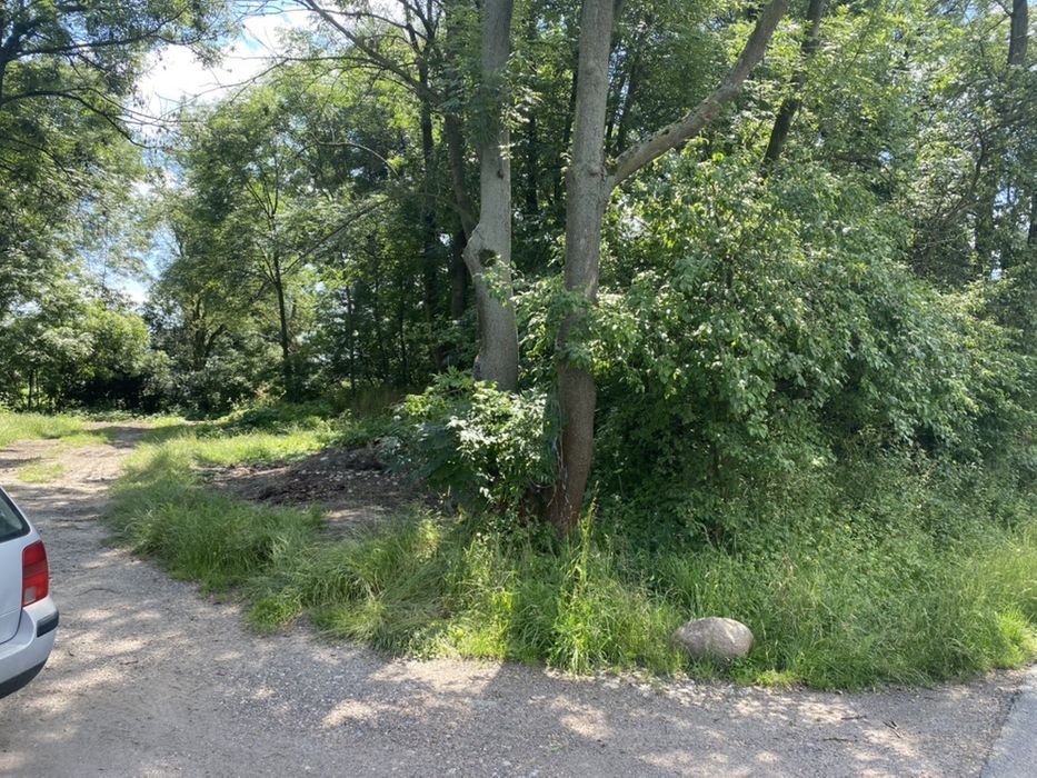 Działka budowlana Roszowicki Las. Zdjęcie 1