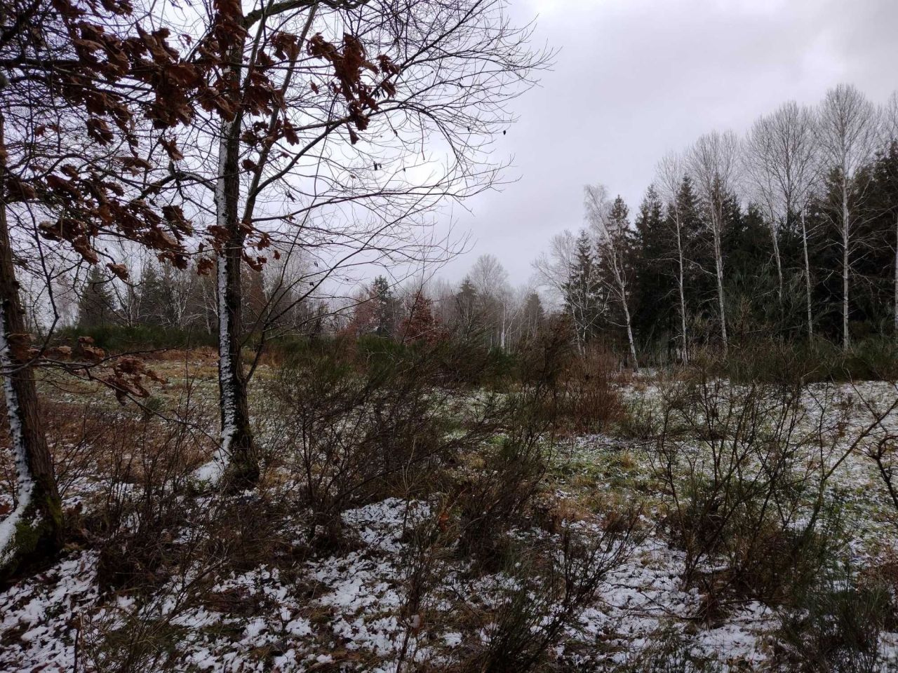 Działka rolna Ciemnik. Zdjęcie 7