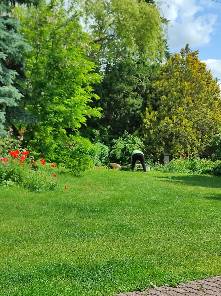 dom wolnostojący, 8 pokoi Przytoczna, ul. Główna. Zdjęcie 7