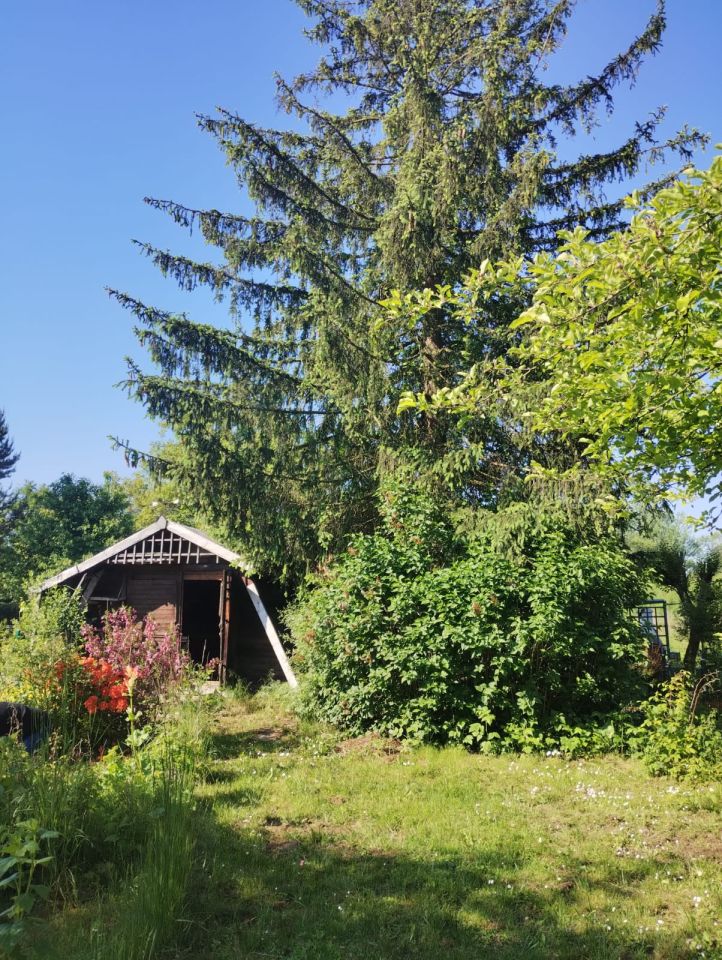 Działka rod Kraków Przegorzały, ul. Rybna. Zdjęcie 6