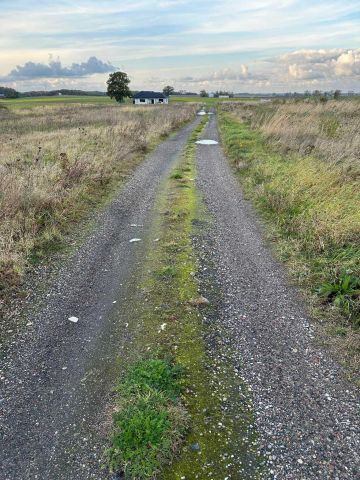 Działka budowlana Dobre Małe. Zdjęcie 1