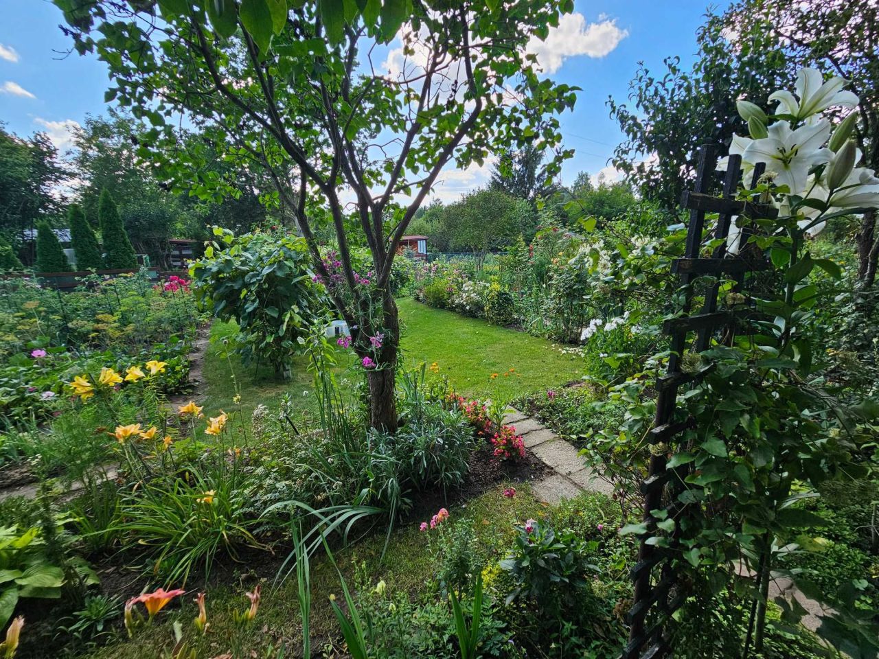 Działka rod Lublin Sławinek, ul. Zbożowa