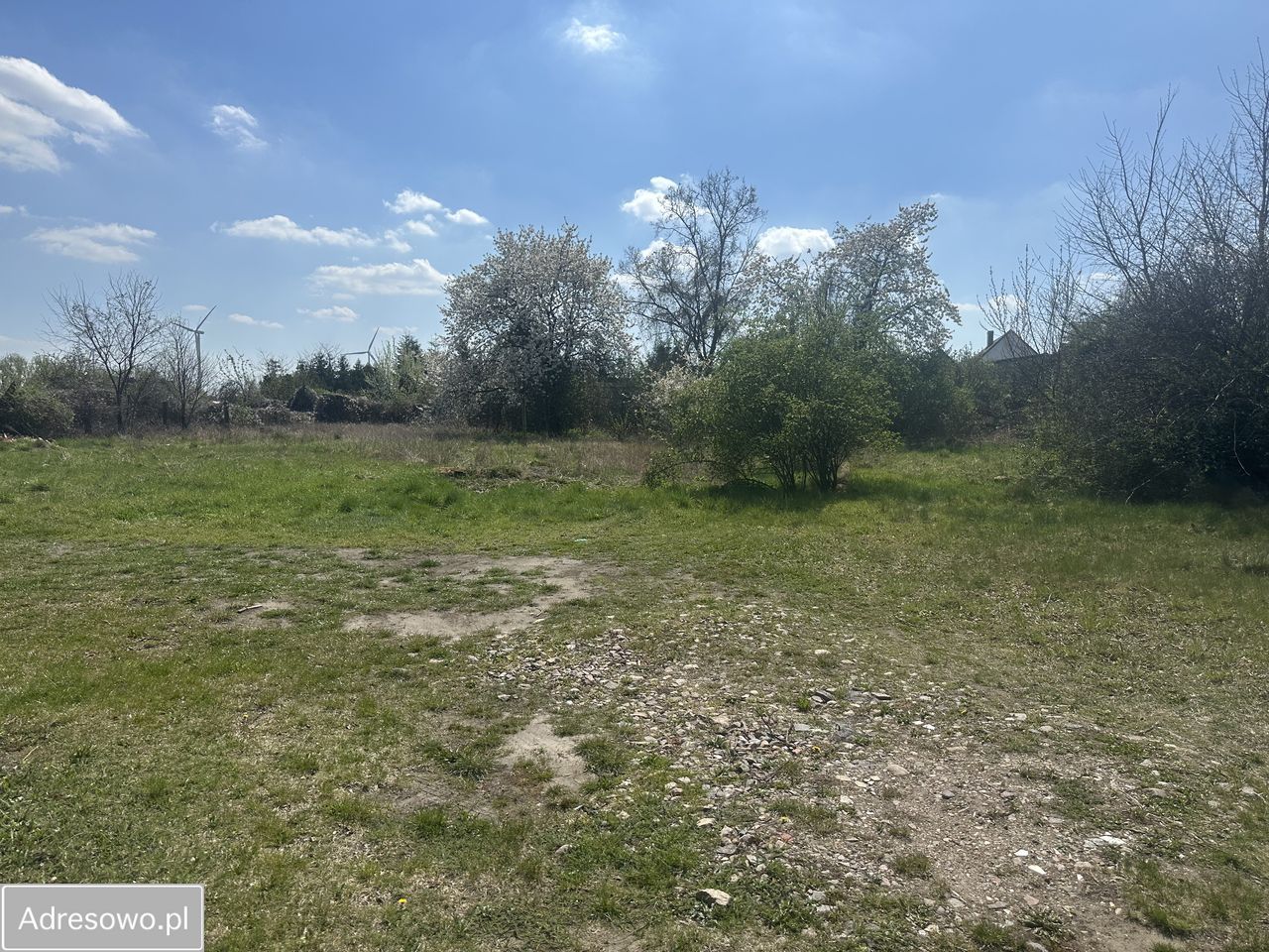 Działka budowlana Golice, ul. Lipowa. Zdjęcie 3