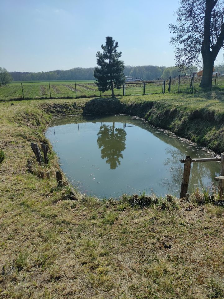 Działka rolna Trzebórz. Zdjęcie 9