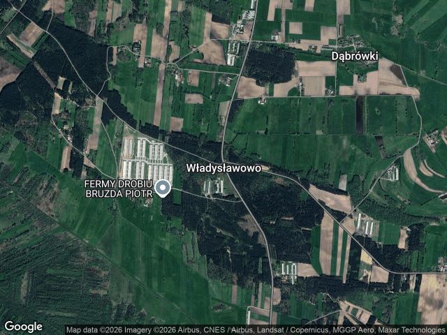 Działka leśna Władysławowo. Zdjęcie 1