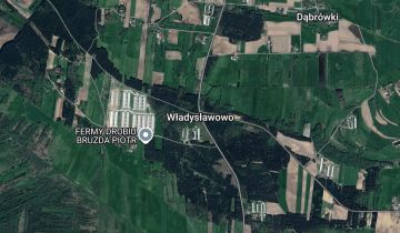 Działka leśna Władysławowo