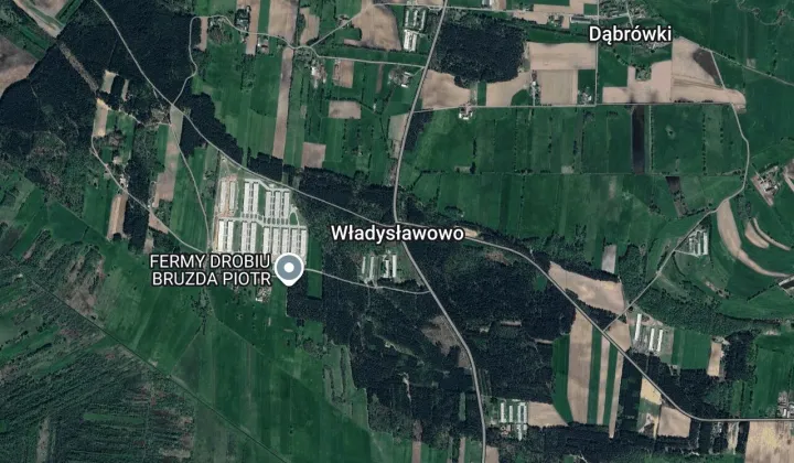 Działka leśna Władysławowo