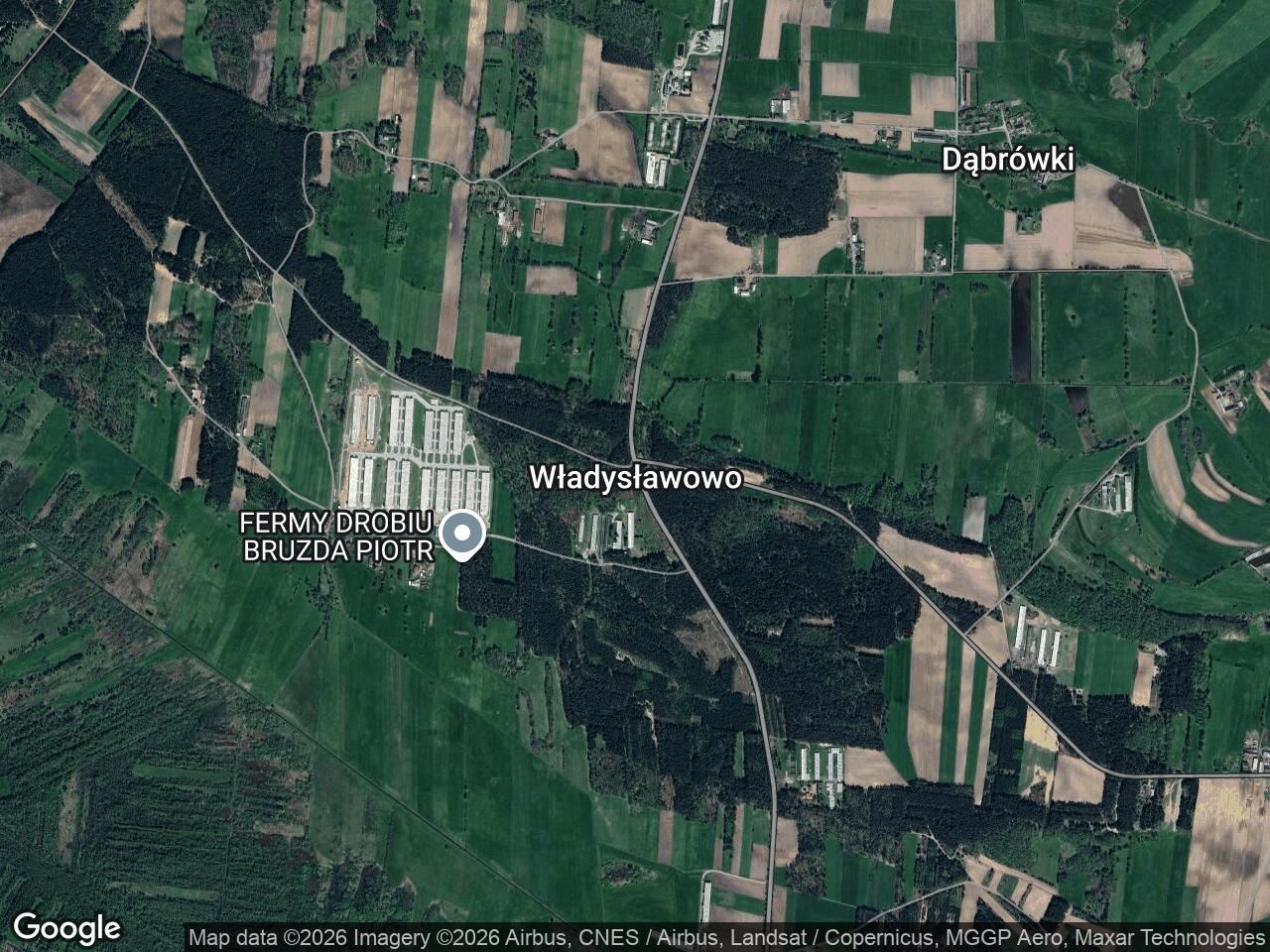 Działka leśna Władysławowo