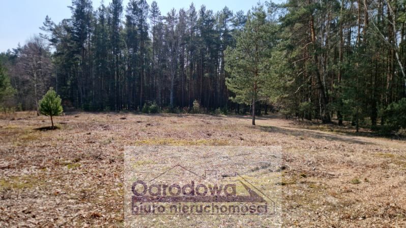 Działka budowlana Kąty. Zdjęcie 4