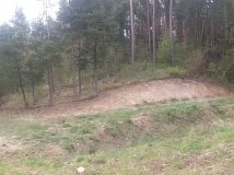 Działka rolna Dębowo. Zdjęcie 3
