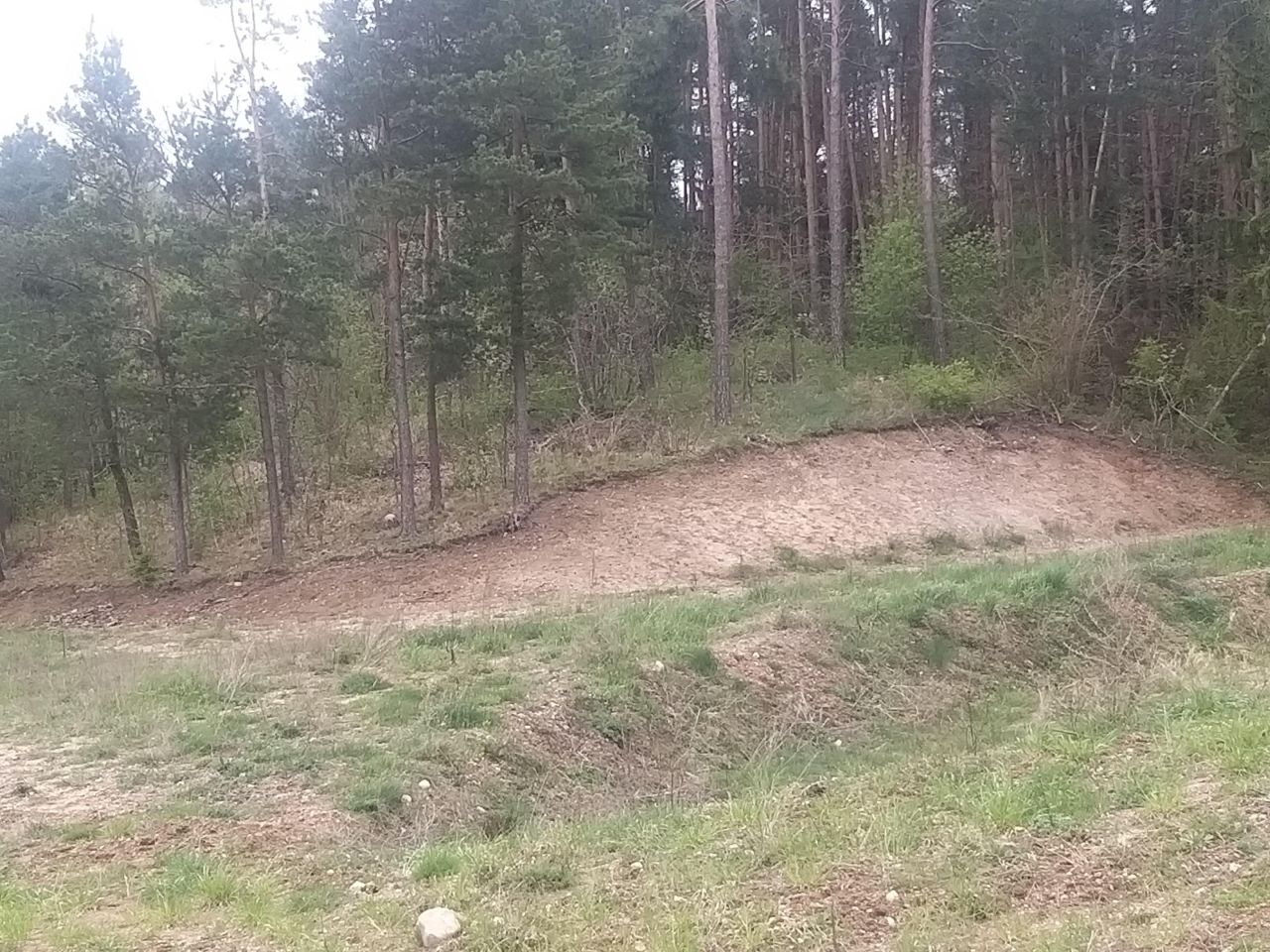 Działka rolna Dębowo. Zdjęcie 4