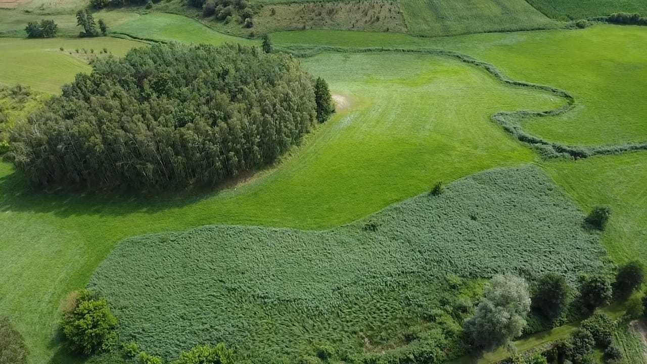 Działka rolna Stara Biała. Zdjęcie 6