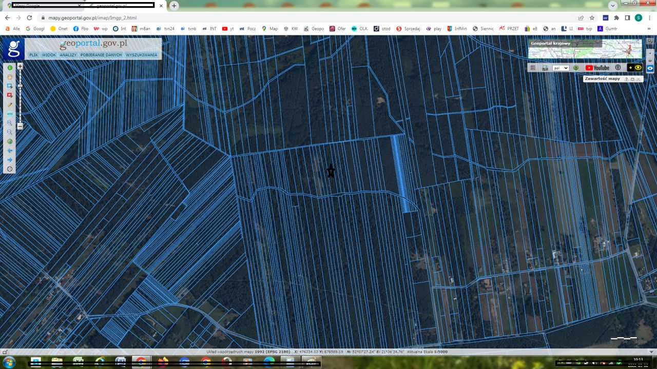 Działka leśna Krzywica. Zdjęcie 3