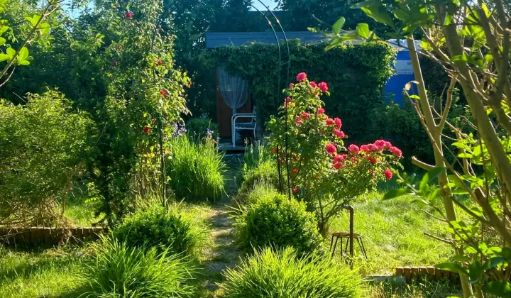 Działka rod Gdynia Mały Kack, ul. Grodnieńska