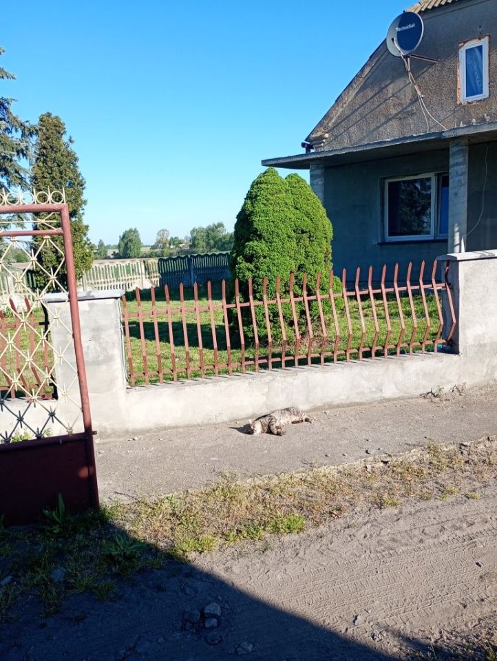 dom wolnostojący Dęby. Zdjęcie 5