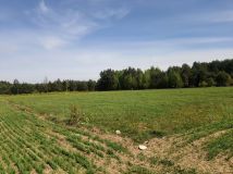 Działka rolno-budowlana Ploski. Zdjęcie 4