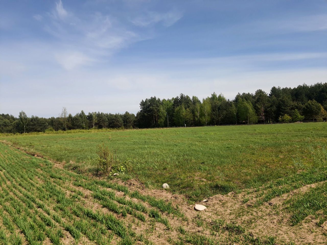 Działka rolno-budowlana Ploski. Zdjęcie 5