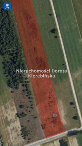 Działka Brzustów. Zdjęcie 14