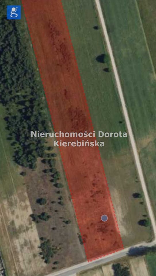 Działka Brzustów. Zdjęcie 14