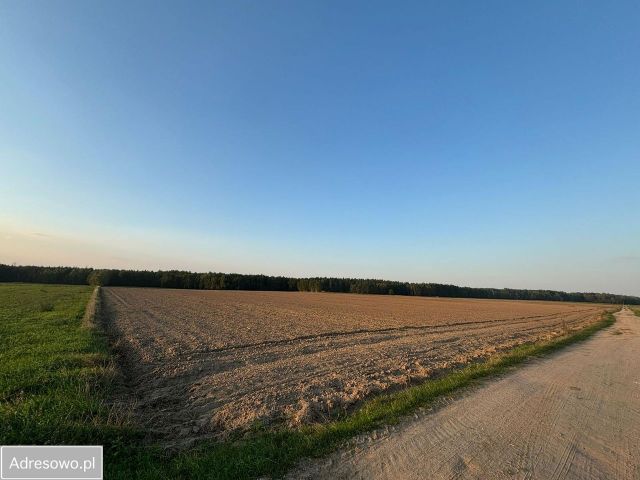 Działka budowlana Nowa Wieś Wschodnia. Zdjęcie 1