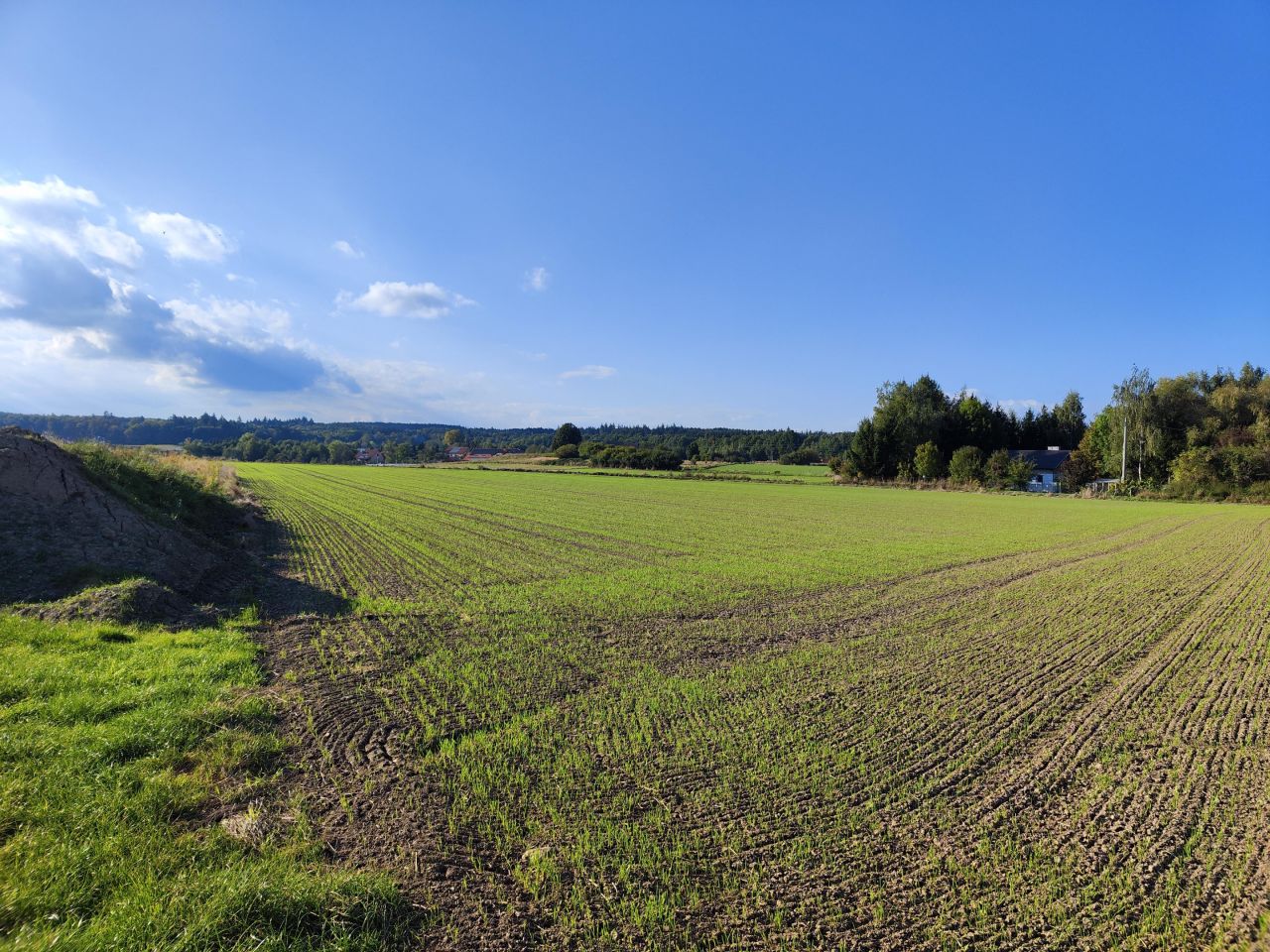 Działka budowlana Myślinów. Zdjęcie 5