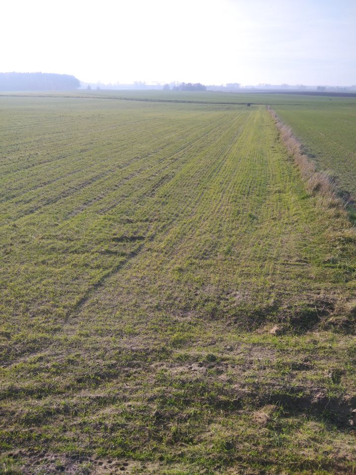 Działka siedliskowa Bramka. Zdjęcie 5