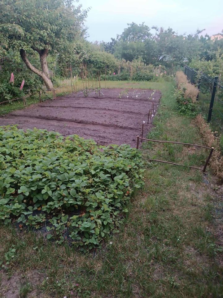 Działka rod Gdańsk Chełm, ul. Zamiejska. Zdjęcie 15