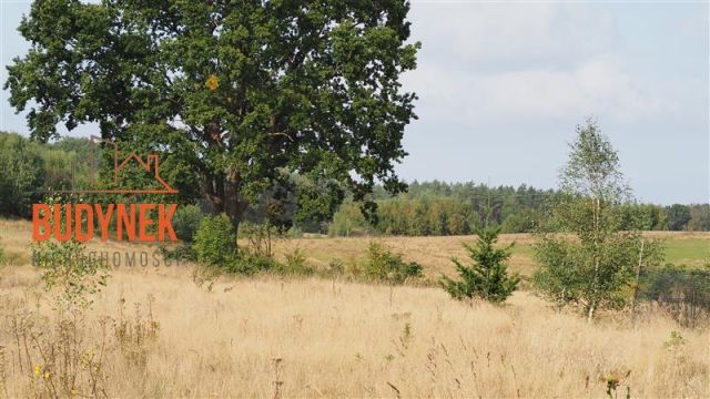 Działka rolna Karsino. Zdjęcie 9