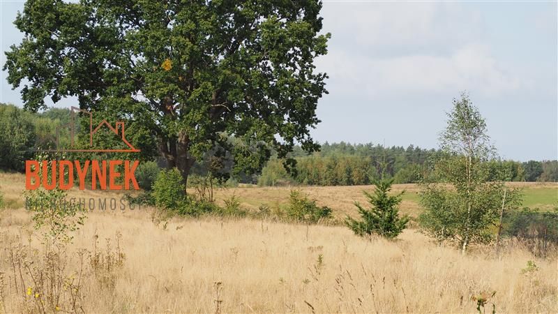 Działka rolna Karsino. Zdjęcie 9