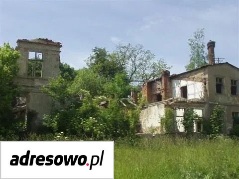 Działka inwestycyjna Dołgie. Zdjęcie 16