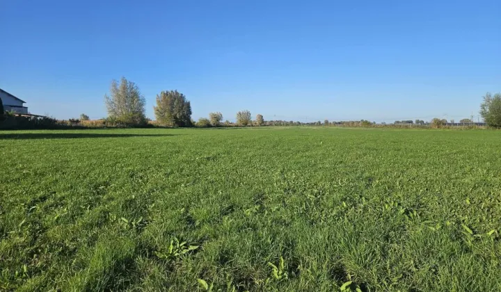 Działka budowlana Janowo