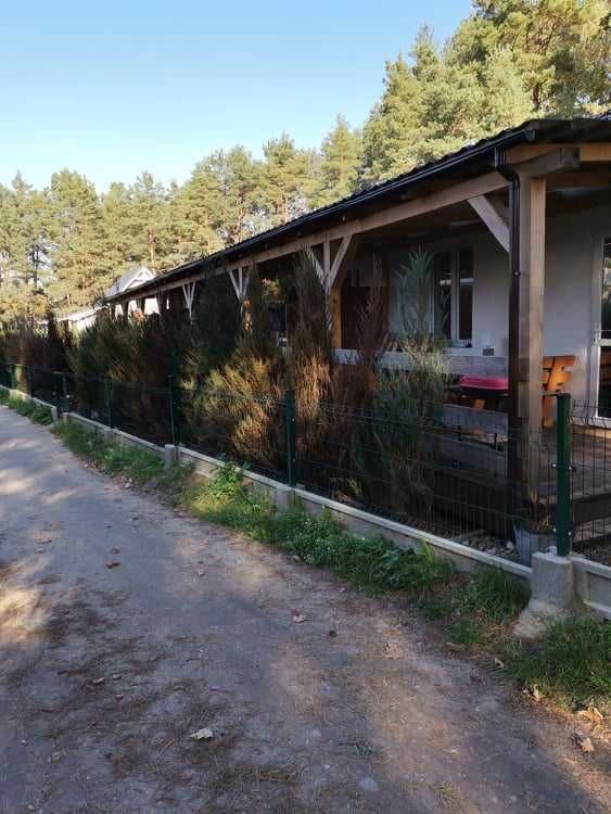 dom wolnostojący Martiany