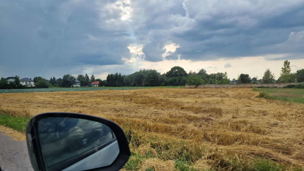 Działka rolno-budowlana Kępa Okrzewska. Zdjęcie 2