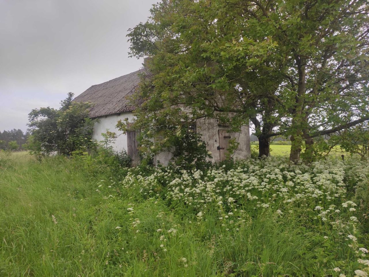 gospodarstwo, 3 pokoje Gierłoż Polska. Zdjęcie 6
