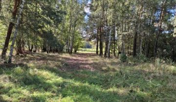 Działka rolna Sokóle