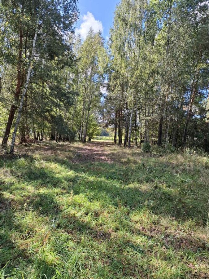 Działka rolna Sokóle. Zdjęcie 2