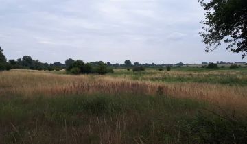 Działka rolna Będogoszcz