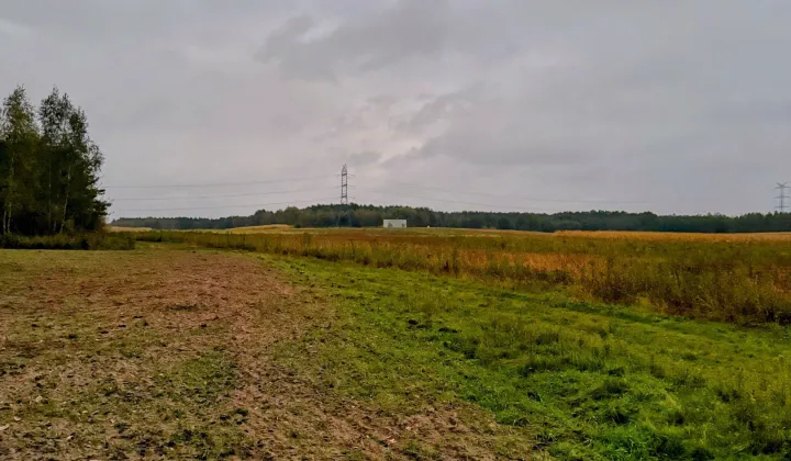 Działka rolno-budowlana Dulcza Wielka