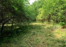 Działka budowlana Godzisław. Zdjęcie 1