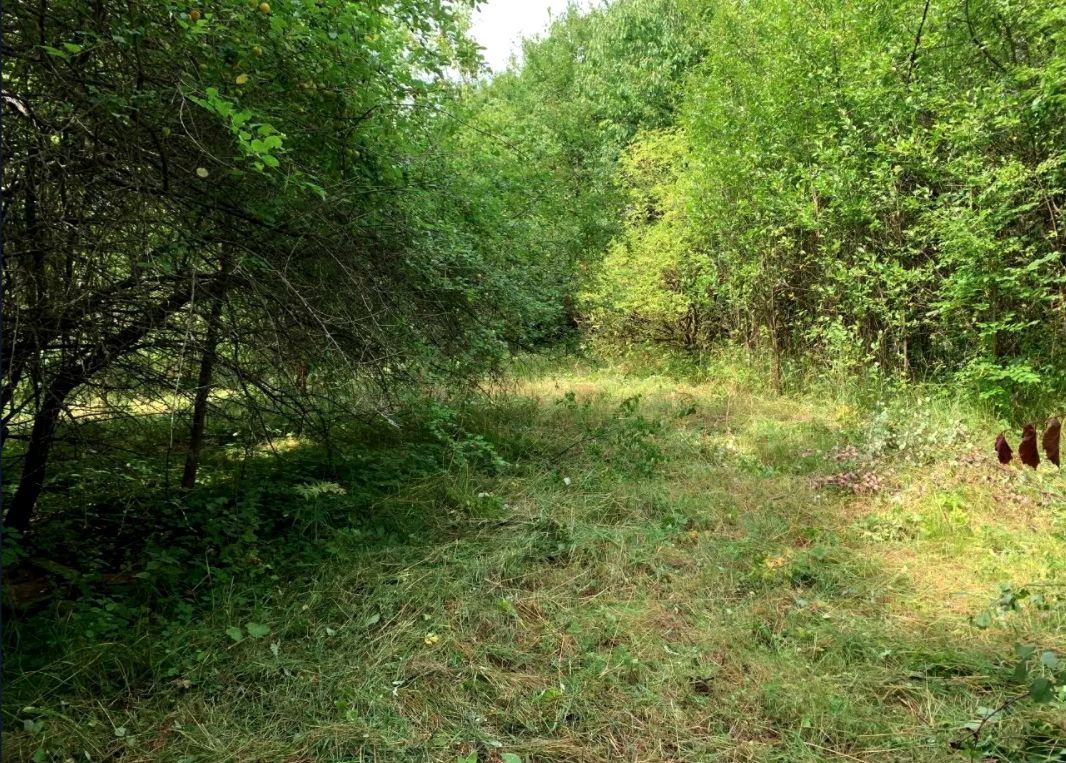 Działka budowlana Godzisław. Zdjęcie 2