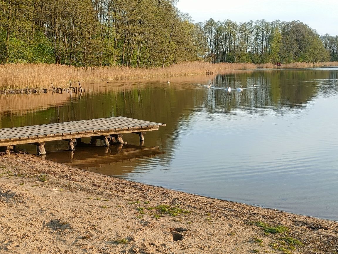 Działka rekreacyjna Ołobok. Zdjęcie 5