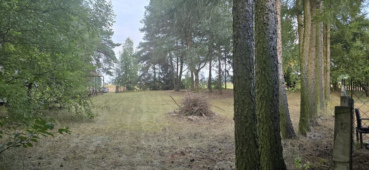 Działka rolna Ostrowite Prymasowskie Raszewo. Zdjęcie 7