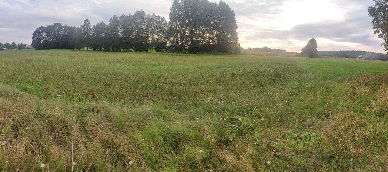 Działka budowlana Lubochenek. Zdjęcie 4