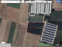 Działka leśna Wojnówka. Zdjęcie 1