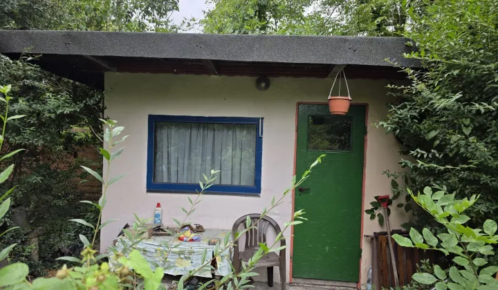 Działka rod Gliwice Trynek, ul. Feliksa Orlickiego