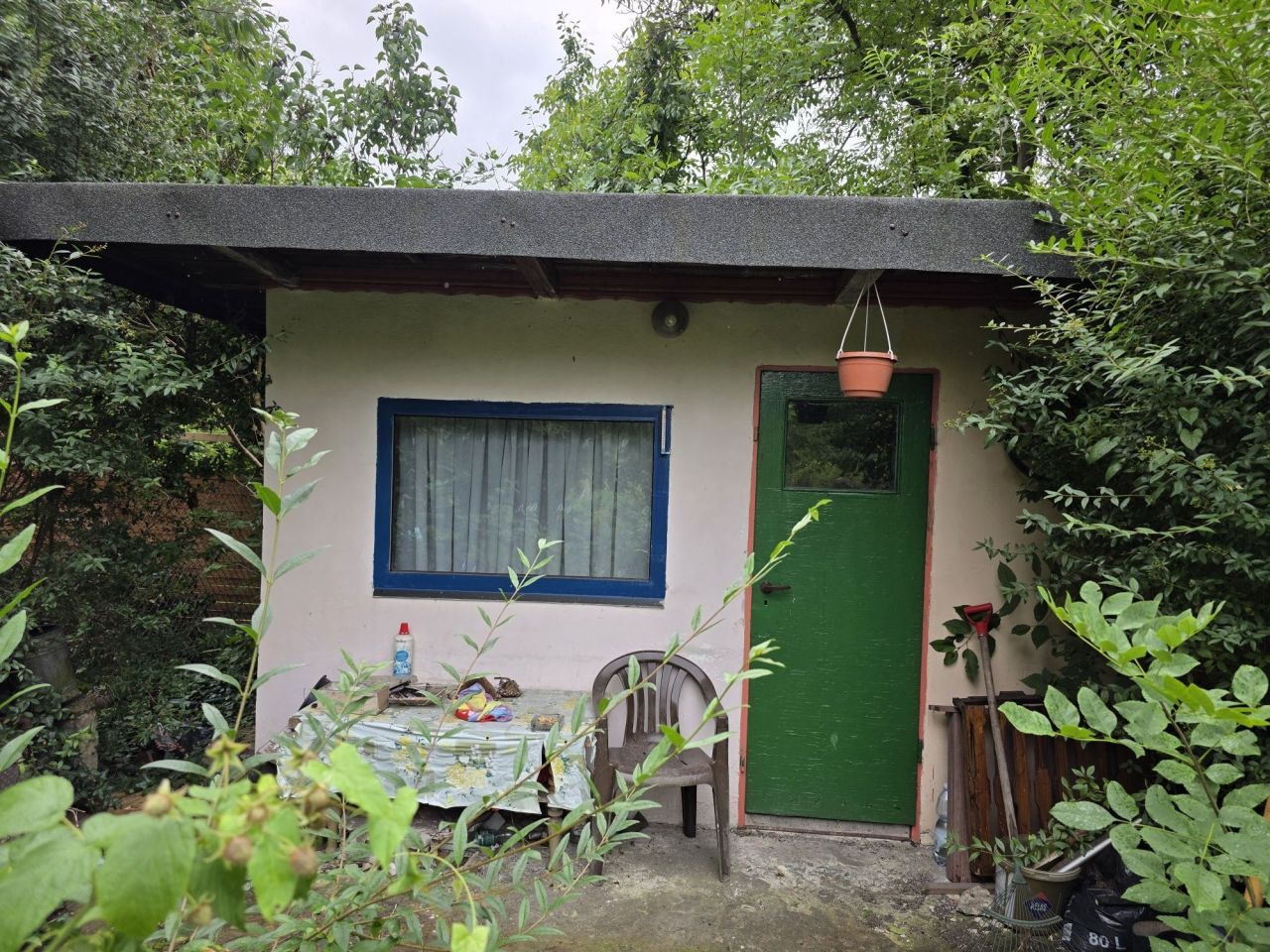 Działka rod Gliwice Trynek, ul. Feliksa Orlickiego