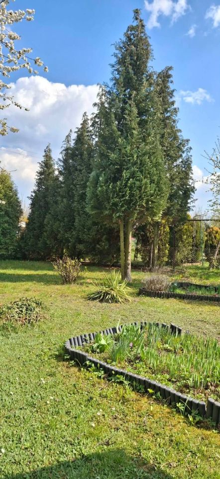 Działka rod Lubliniec, ul. Strzelecka. Zdjęcie 5