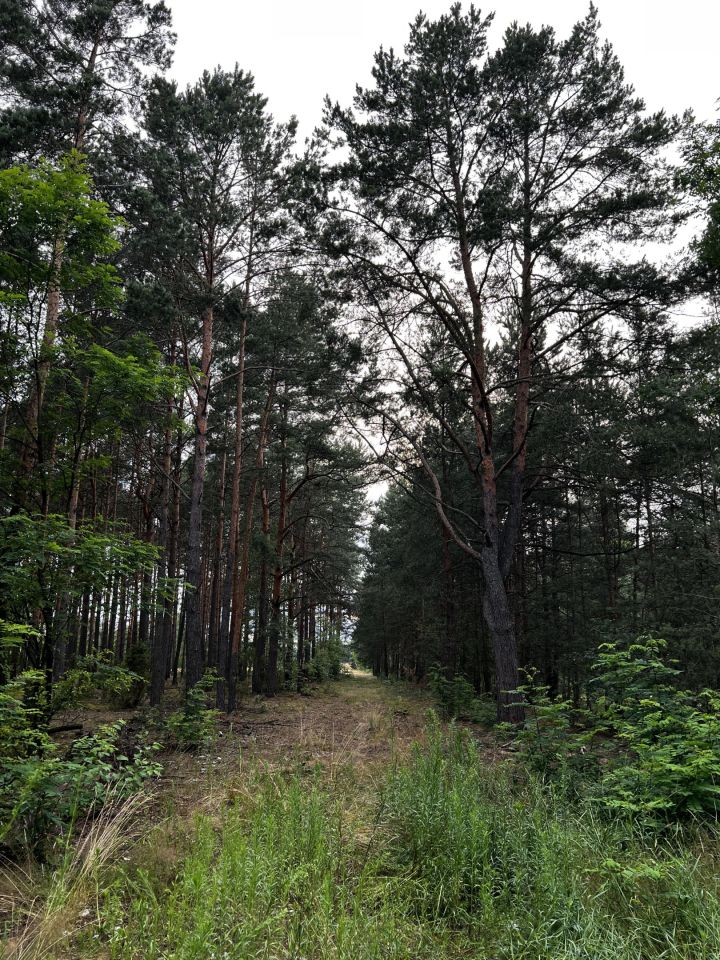 Działka budowlana Anastazew. Zdjęcie 7